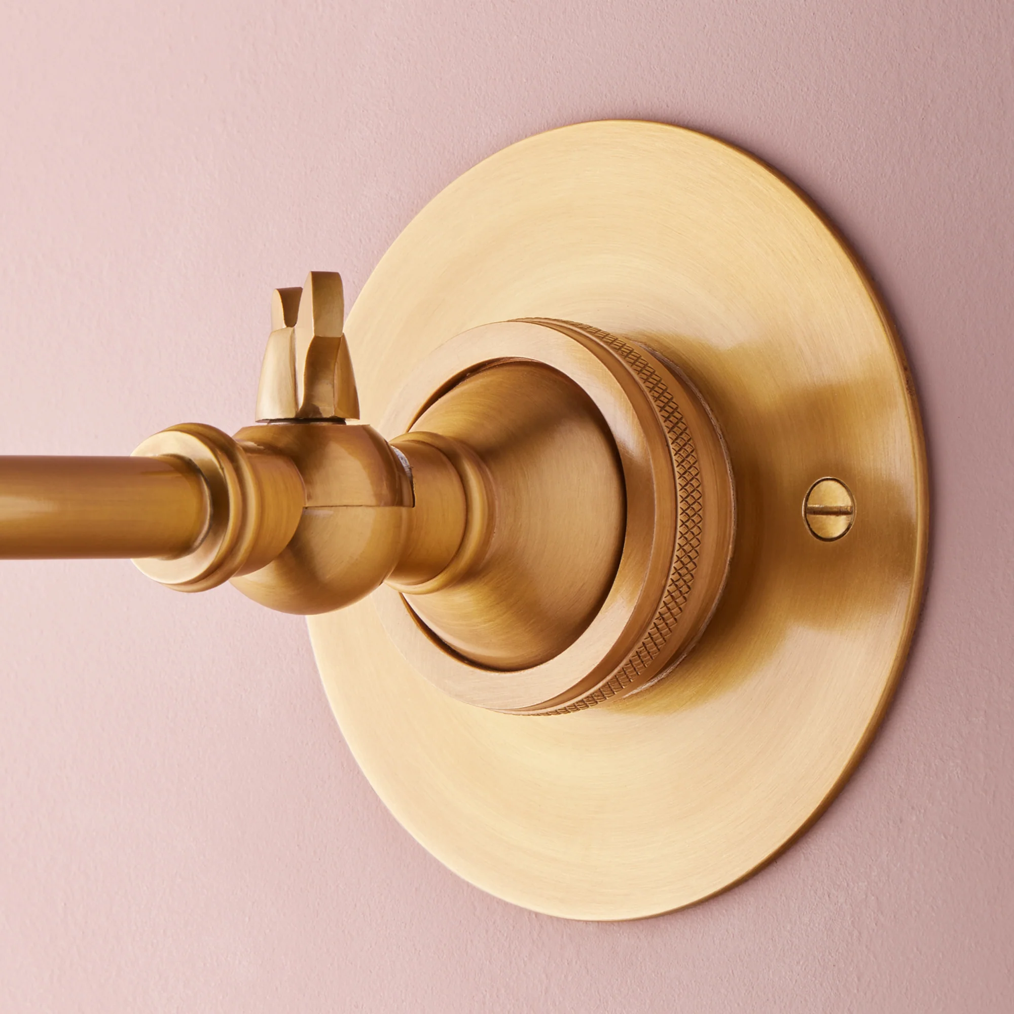 Clematis Wall Light in Antiqued Brass - Image 5