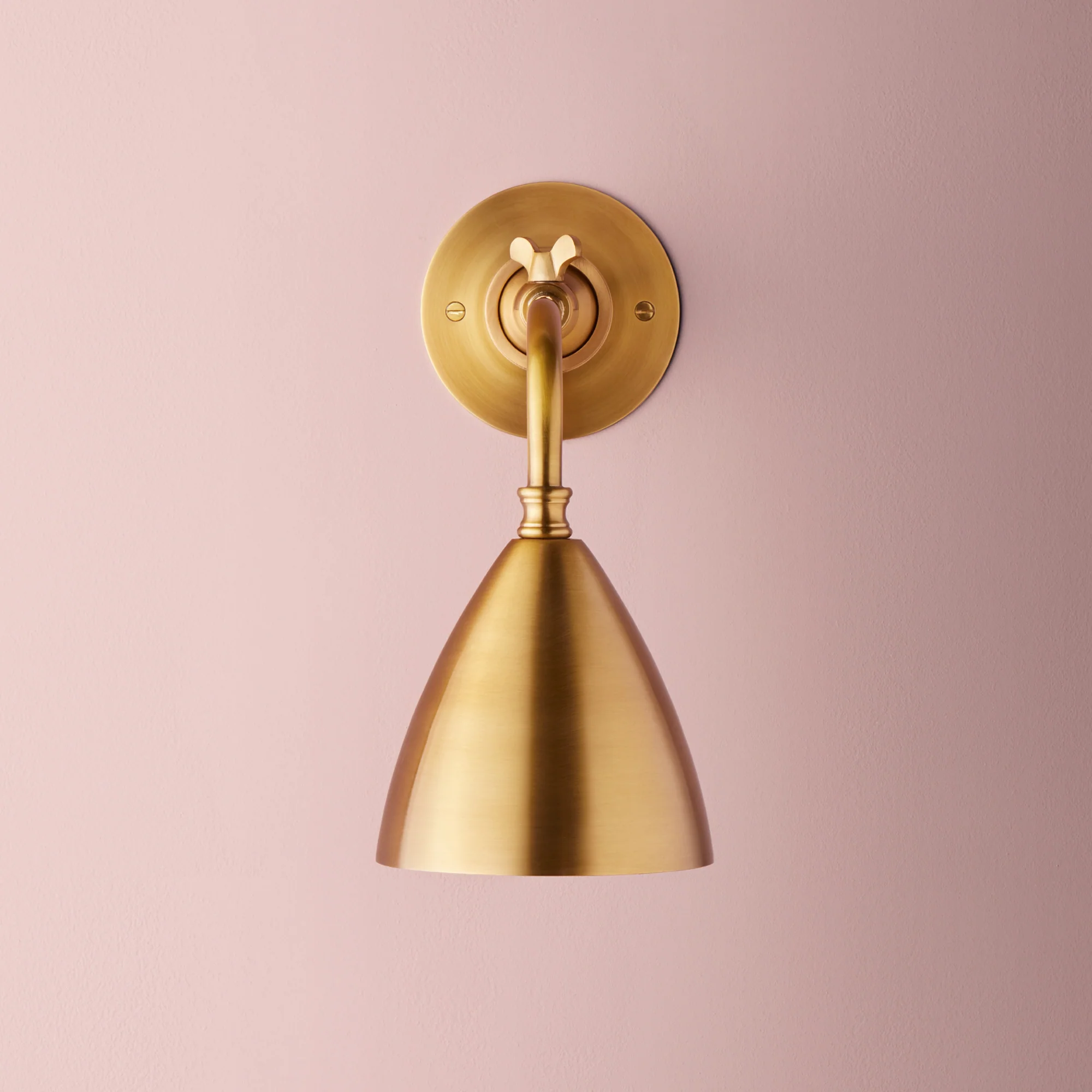 Clematis Wall Light in Antiqued Brass - Image 6