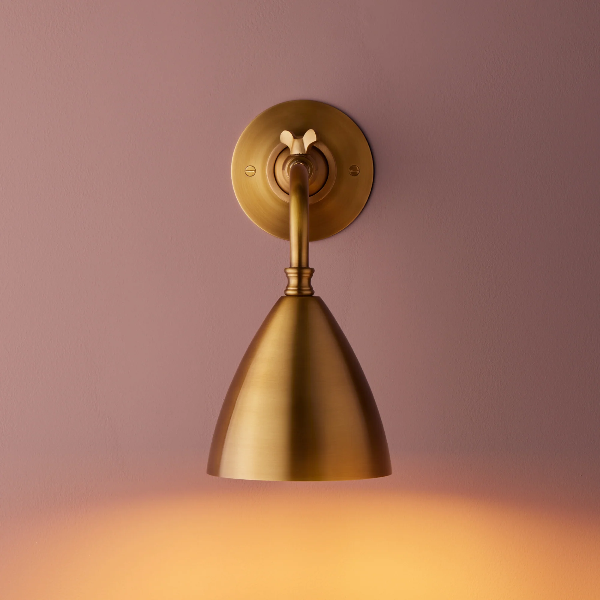 Clematis Wall Light in Antiqued Brass - Image 7