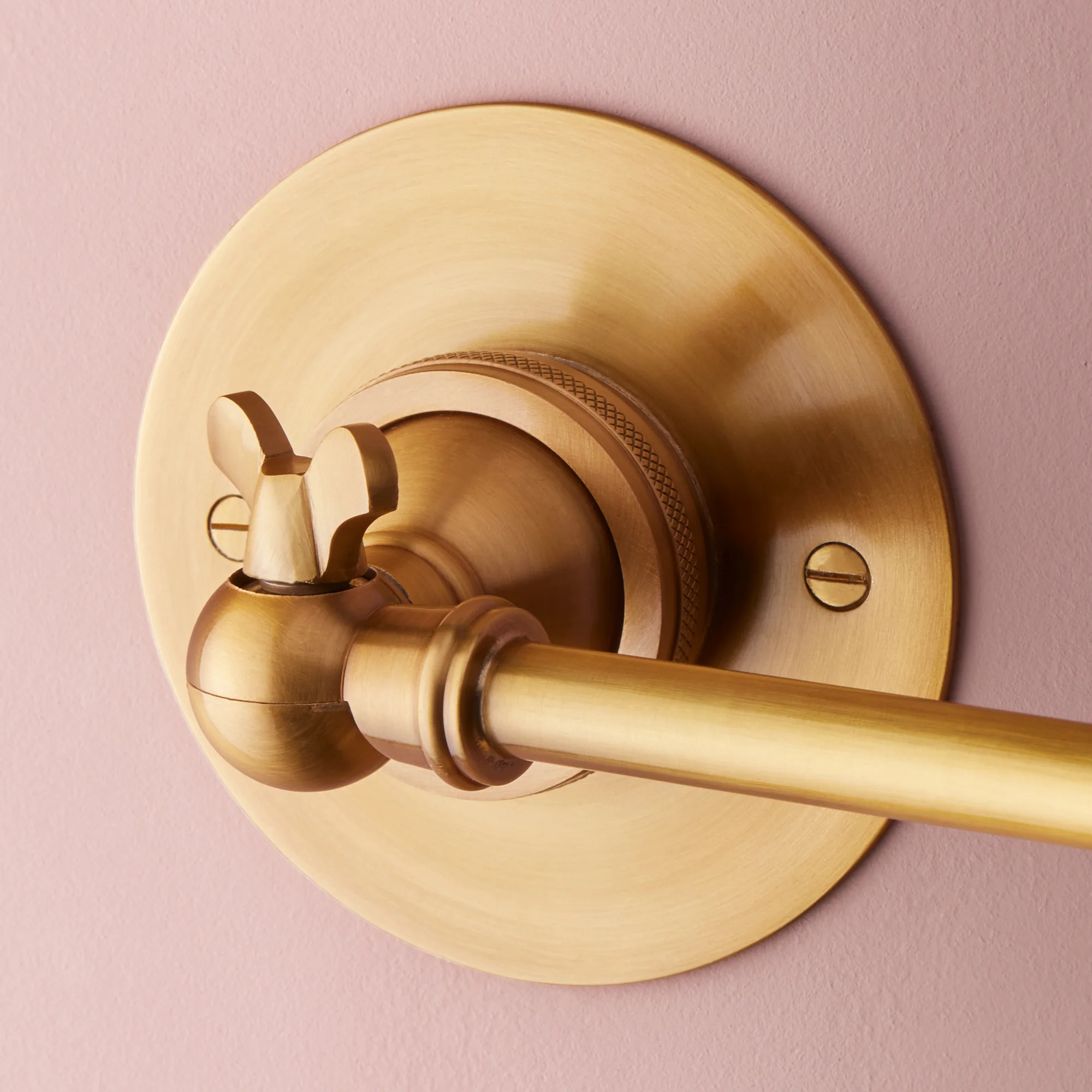 Clematis Wall Light in Antiqued Brass - Image 8