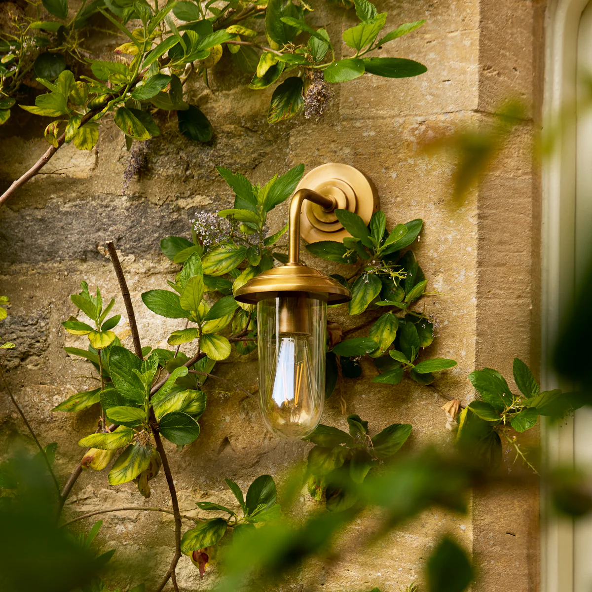 Curlew IP44 wall light in antique brass - Image 6