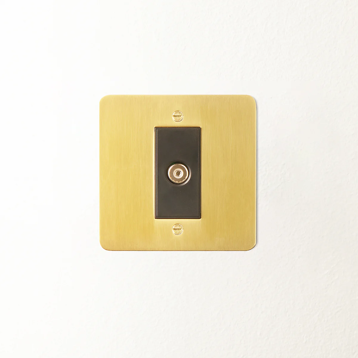 Lucian coaxial socket single outlet in top brass