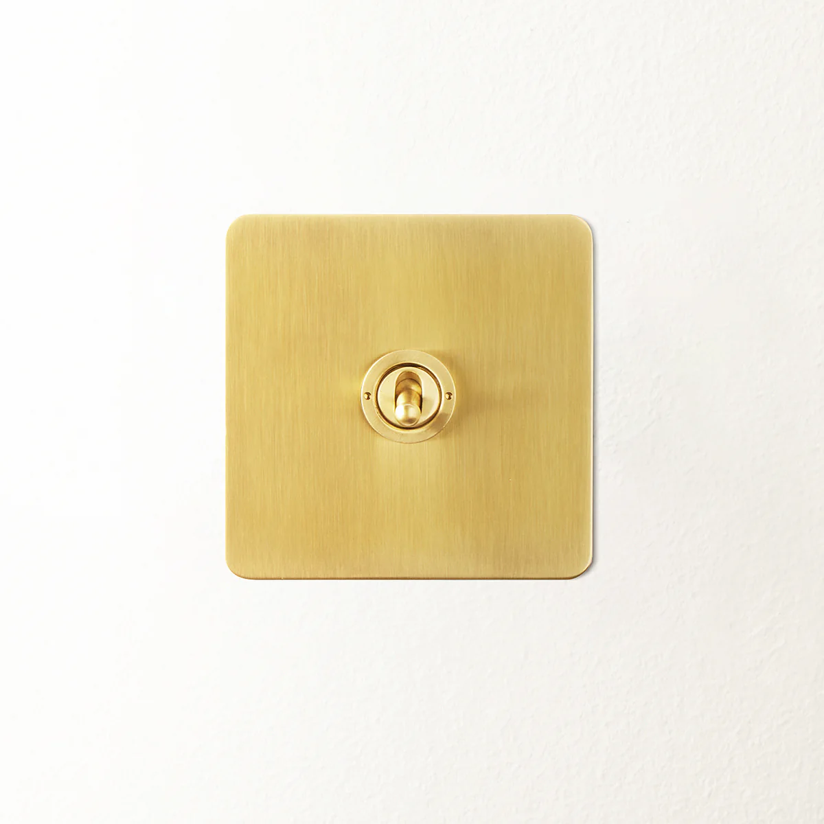 Lucian one gang 2 way toggle switch in top brass
