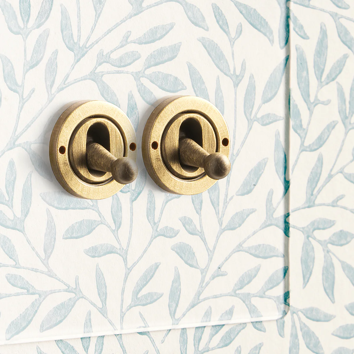 Lucian perspex two gang intermediate toggle switch in clear perspex and aged brass - Image 3