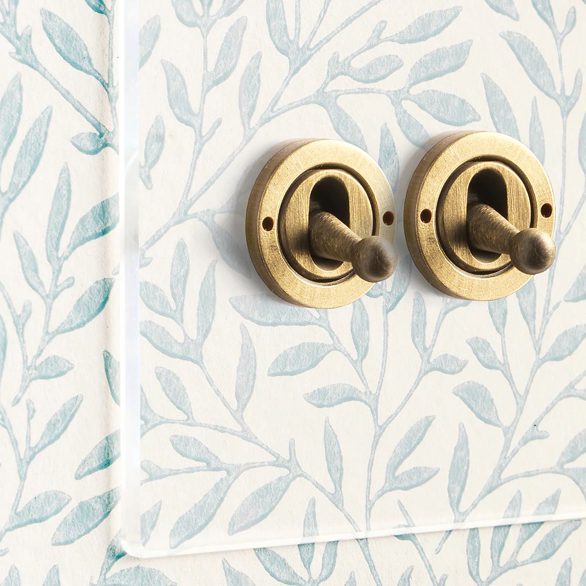 Lucian perspex two gang intermediate toggle switch in clear perspex and aged brass - Image 4