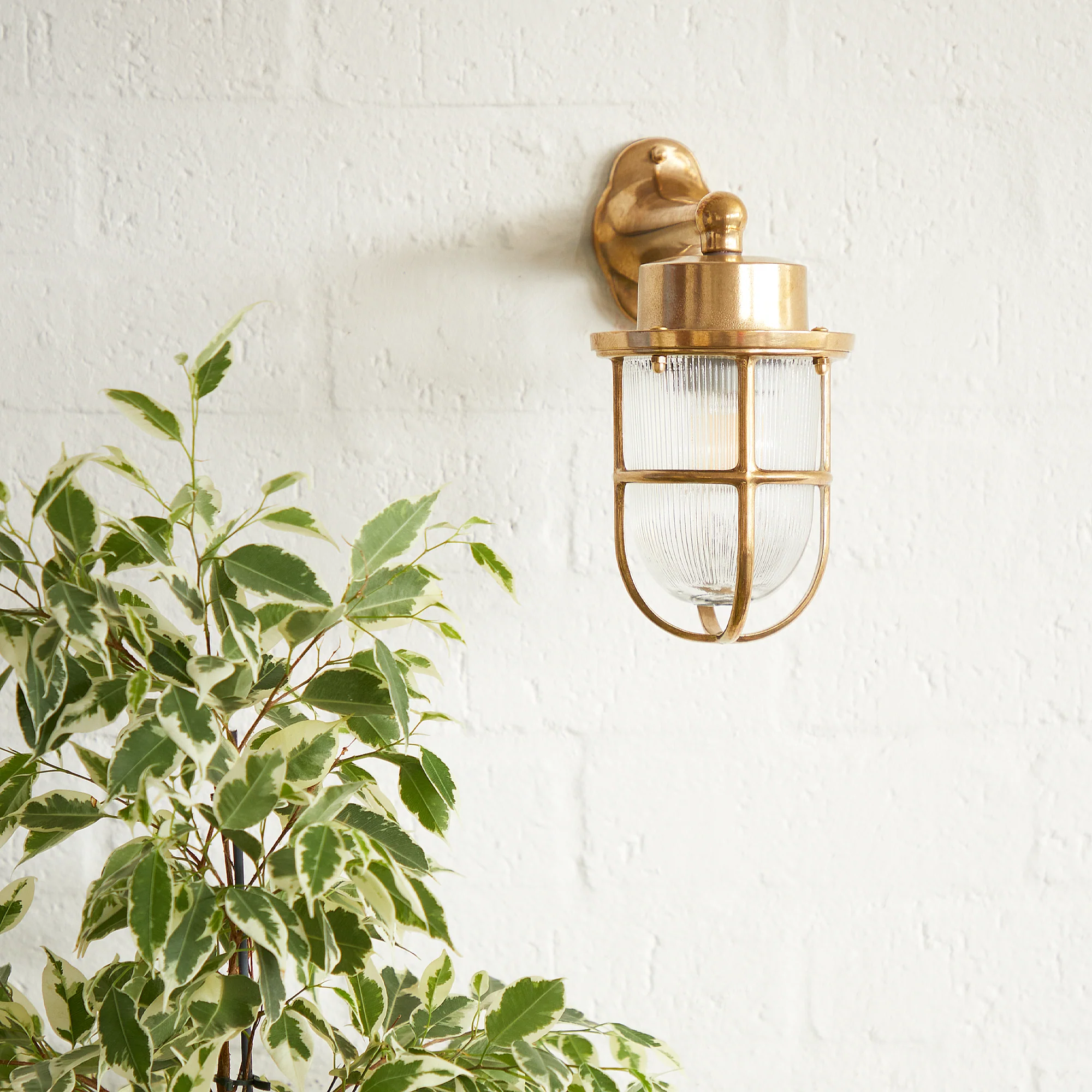 Magellan ip64 wall mounted sconce in unlacquered natural brass - Image 5