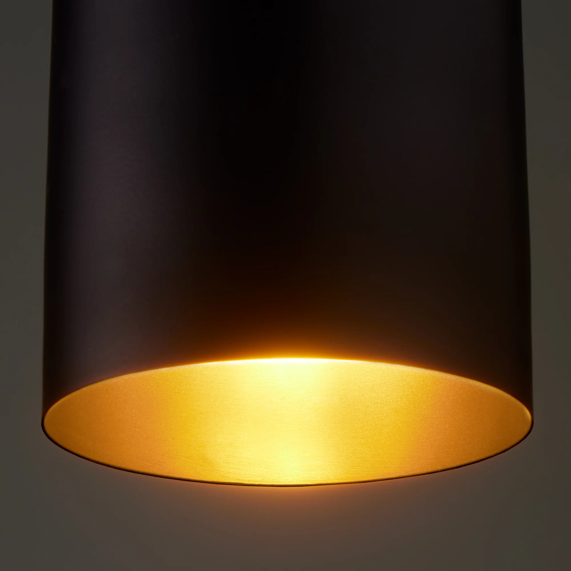 McMegan black pendant with brass interior - Image 6