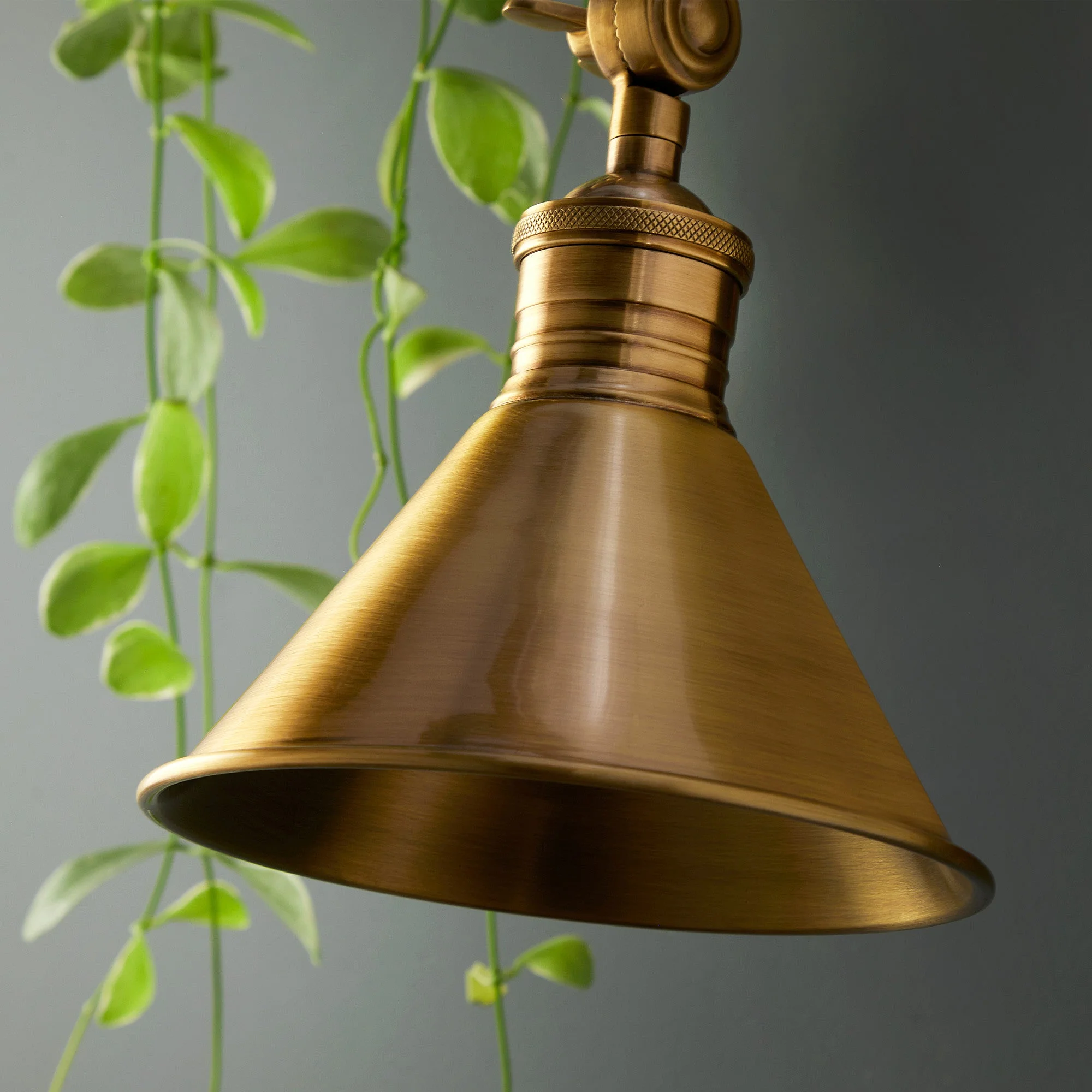 Stork wall light in antique brass - Image 6