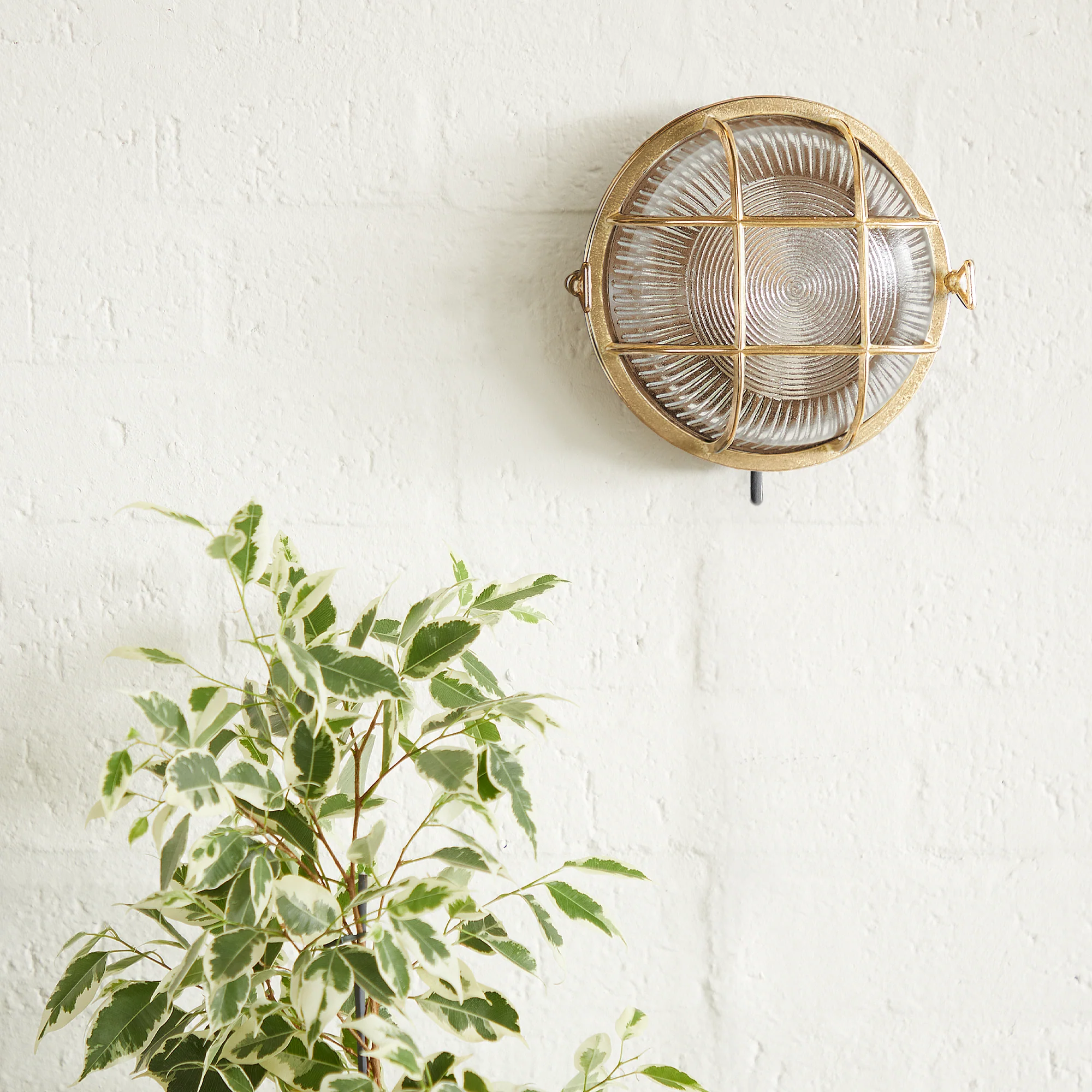 Vasco ip64 round bulkhead in unlacquered natural brass - Image 6